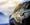 biker-pixabay-salvorubino