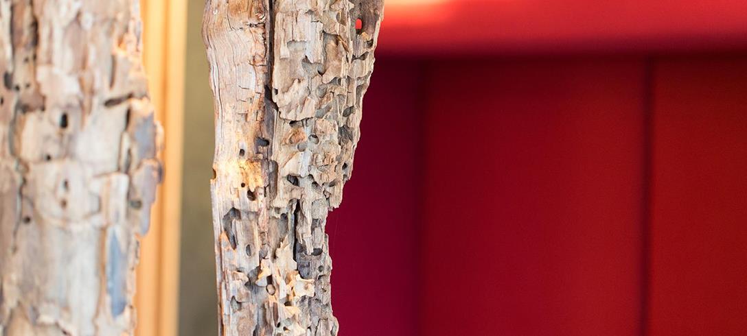 Arte allo Steindl’s Boutique Hotel; dettaglio della corteccia di betulla su sfondo rosso.