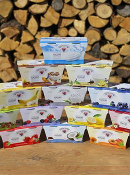 Diversi tipi di Yogurt Vipiteno