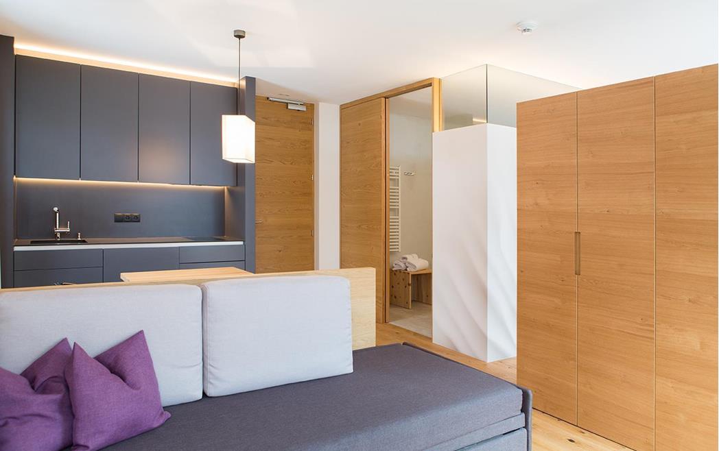 Studio mit Küchenzeile und Sofa