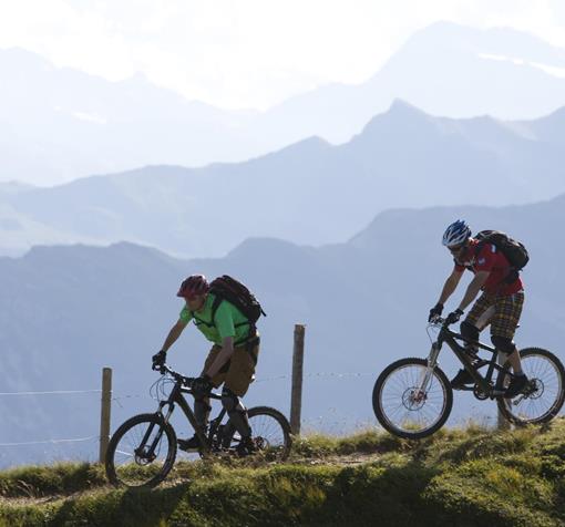Two mountain bikers in an alpine landscape.
